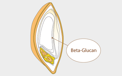 Beta Glucan
